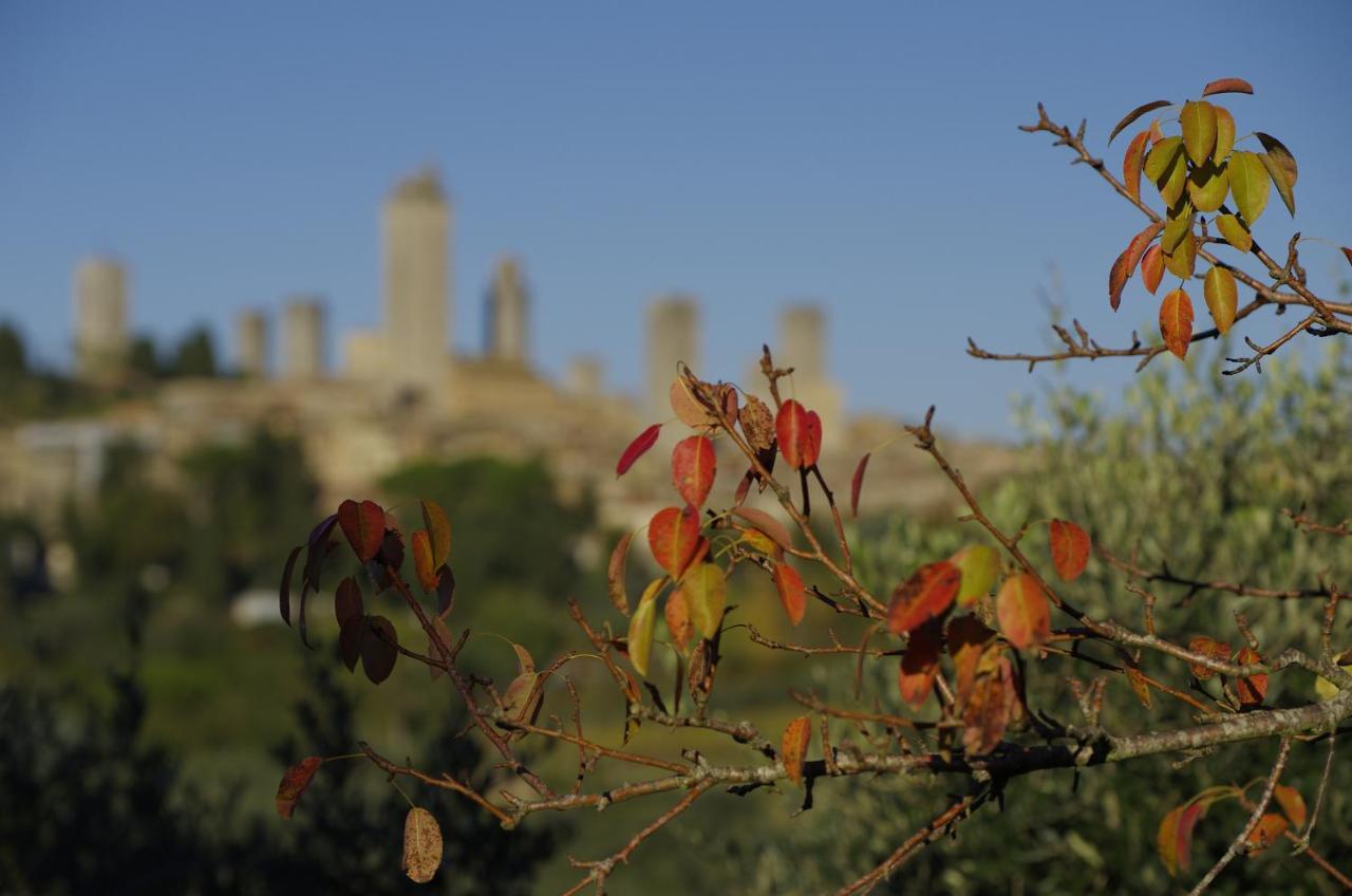 Il Borgo Antico Daire San Gimignano Oda fotoğraf